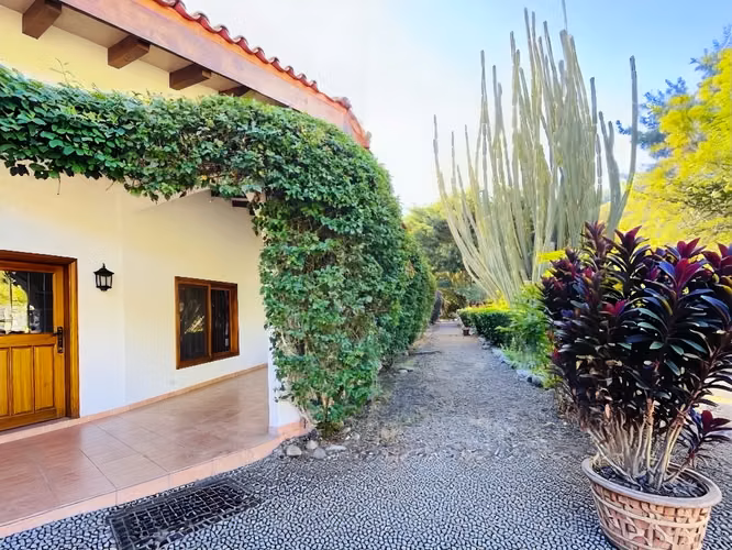 VENTA DE FINCA DE 31,95 HECTÁREAS EN OROSI, PARAÍSO, CARTAGO - Imagen 5