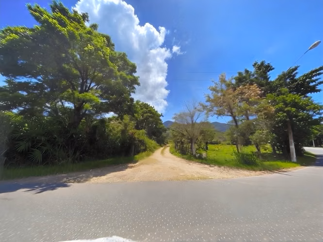 VENTA DE FINCA DE 31,95 HECTÁREAS EN OROSI, PARAÍSO, CARTAGO - Imagen 19