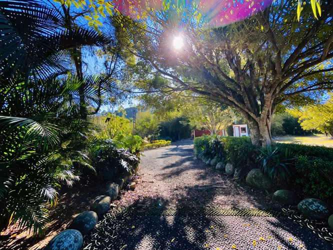 VENTA DE FINCA DE 31,95 HECTÁREAS EN OROSI, PARAÍSO, CARTAGO - Imagen 4