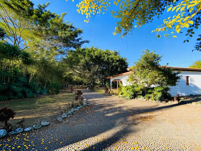 VENTA DE FINCA DE 31,95 HECTÁREAS EN OROSI, PARAÍSO, CARTAGO - Imagen 9