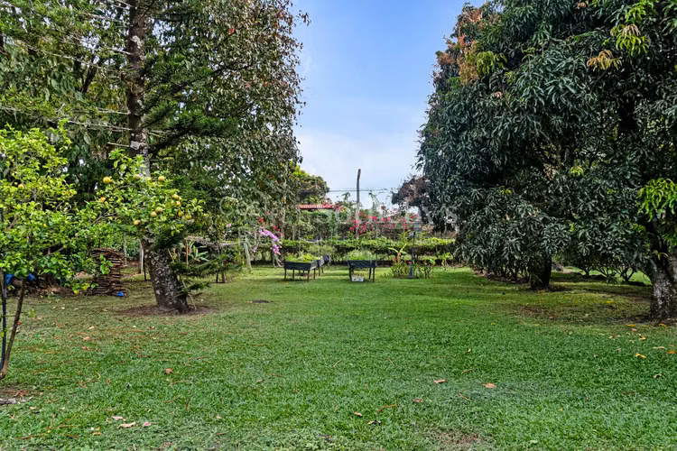 Quinta en Ciruelas Alajuela con 3 propiedades - Imagen 19