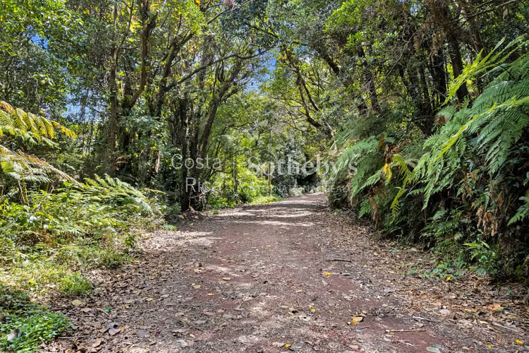 132 Hectáreas junto al Volcán Poás, con Casa y Capilla - Imagen 17