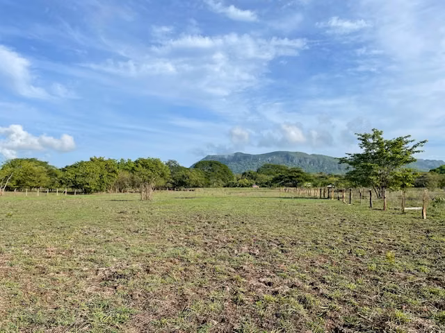 Hectárea plana en Nicoya