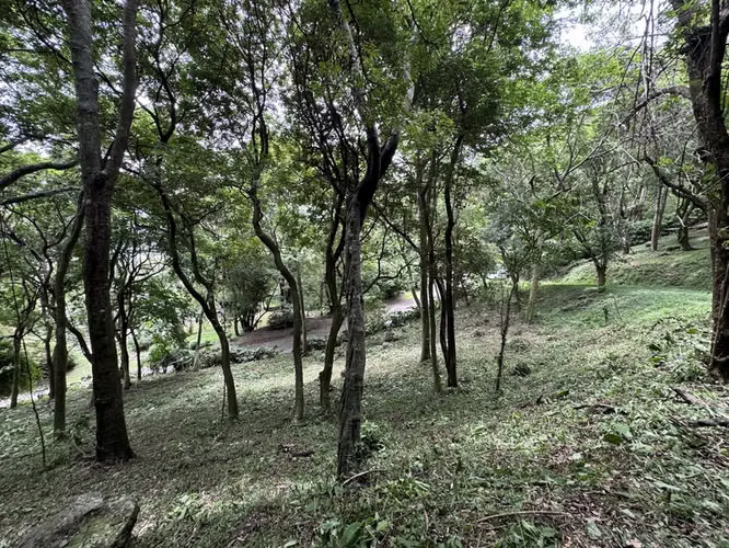 Venta, Lote en Condominio, Listo para Construir, en Montaña del sol, Santa Ana 26280 - Imagen 6