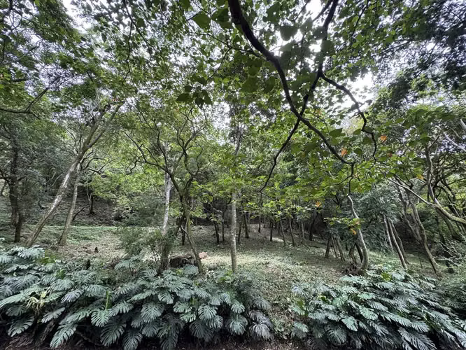 Venta, Lote en Condominio, Listo para Construir, en Montaña del sol, Santa Ana 26280 - Imagen 3