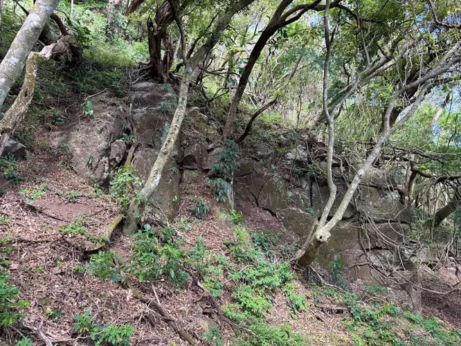Venta, Lote en Condominio, Listo para Construir, en Montaña del sol, Santa Ana 26280 - Imagen 9