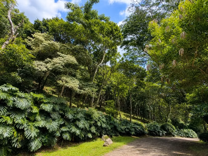 Venta, Lote en Condominio, Listo para Construir, en Montaña del sol, Santa Ana 26280 - Imagen 2