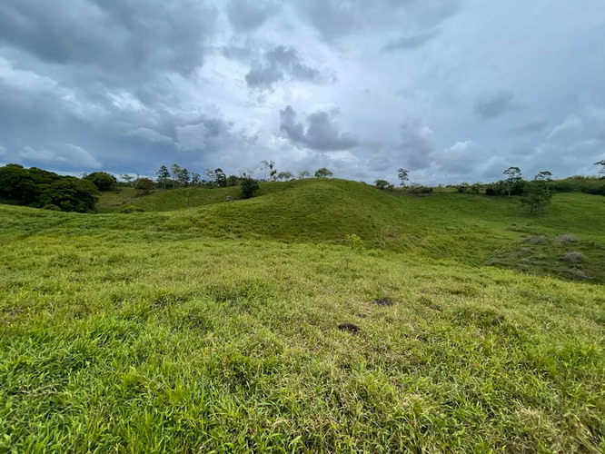 Finca de 13 Ha en Corazón de Jesús, Sarapiquí, Alajuela - Imagen 5