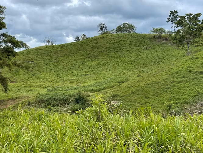 Finca de 13 Ha en Corazón de Jesús, Sarapiquí, Alajuela - Imagen 3