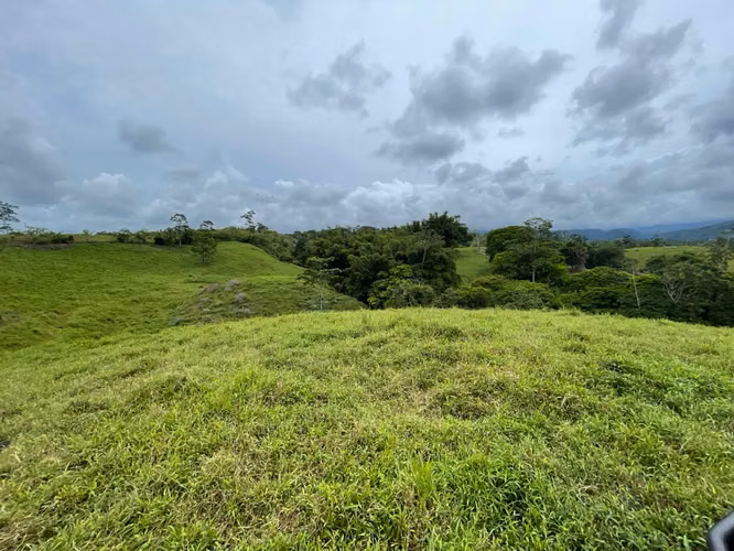 Finca de 13 Ha en Corazón de Jesús, Sarapiquí, Alajuela - Imagen 7
