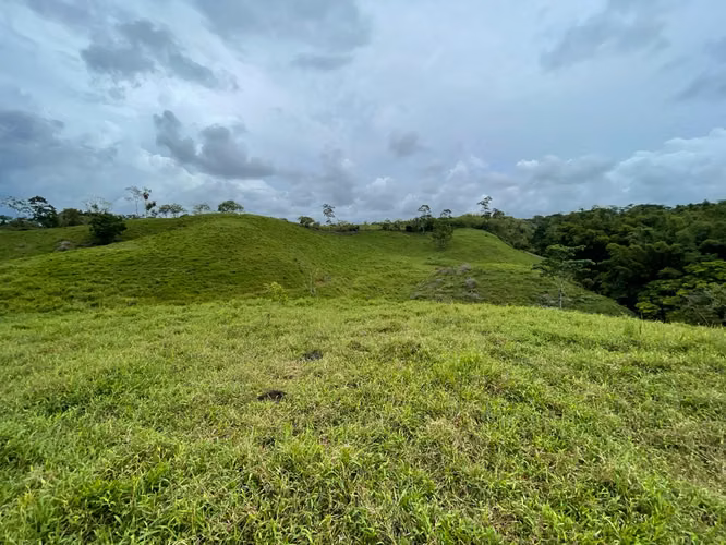 Finca de 13 Ha en Corazón de Jesús, Sarapiquí, Alajuela - Imagen 6