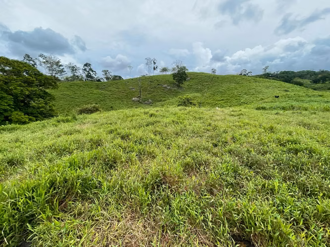 Finca de 13 Ha en Corazón de Jesús, Sarapiquí, Alajuela - Imagen 8