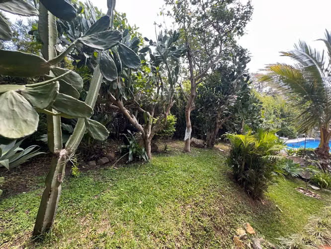 Exclusiva Oportunidad en Escazú | Adquiera una Residencia o las 3 juntas - Imagen 6