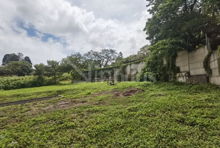 Lote en venta en Tres Ríos – Ubicación estratégica y gran potencial (ID-42834) - Imagen 10