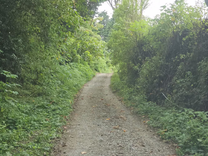 Finca en Potrerillos de  Llano Grande, Cartago