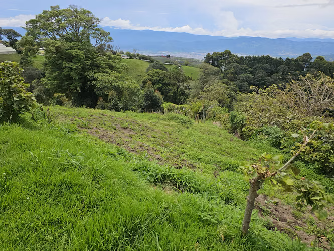 Finca en Potrerillos de  Llano Grande, Cartago