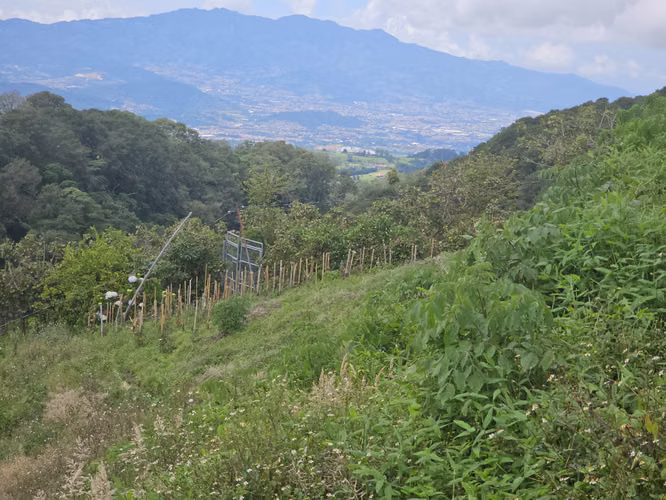 Finca en Potrerillos de  Llano Grande, Cartago