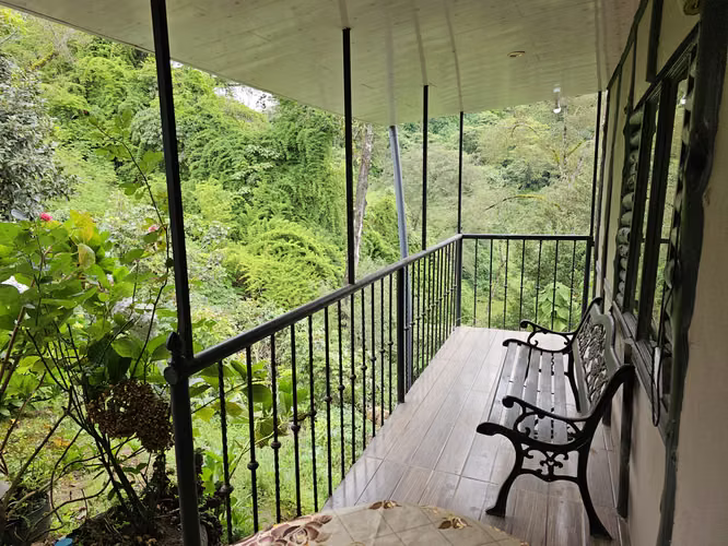 Finca en Potrerillos de  Llano Grande, Cartago