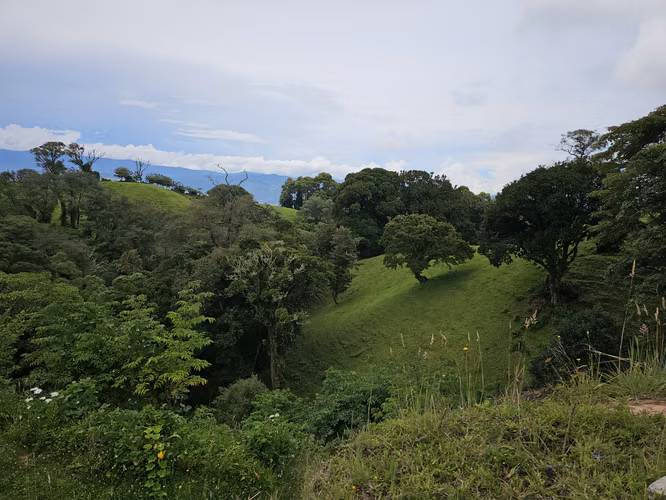 Finca en Potrerillos de  Llano Grande, Cartago