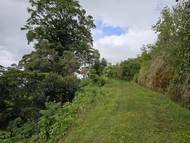 Finca en Potrerillos de  Llano Grande, Cartago