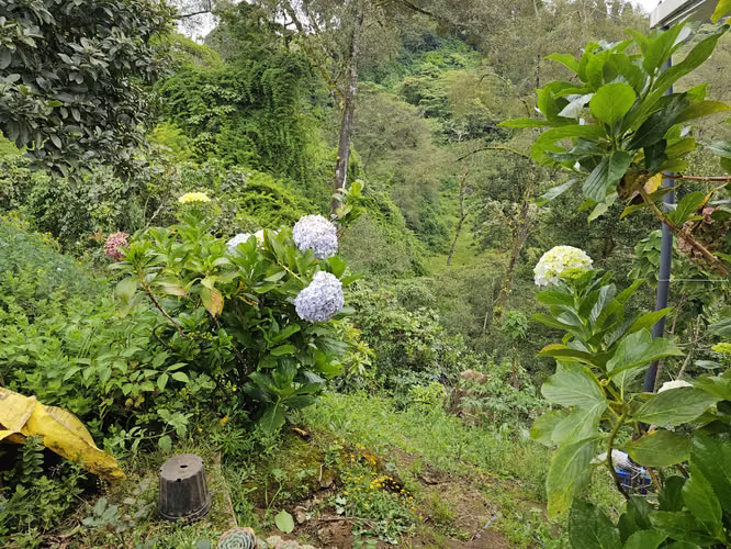 Finca en Potrerillos de  Llano Grande, Cartago