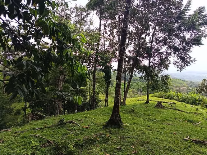 Finca de 6 hectáreas con vistas panorámicas en La Tigra de San Carlos - Imagen 5
