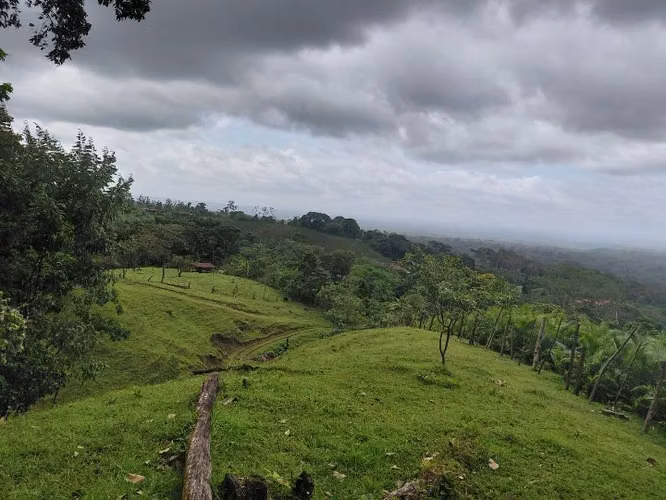 Finca de 6 hectáreas con vistas panorámicas en La Tigra de San Carlos - Imagen 7