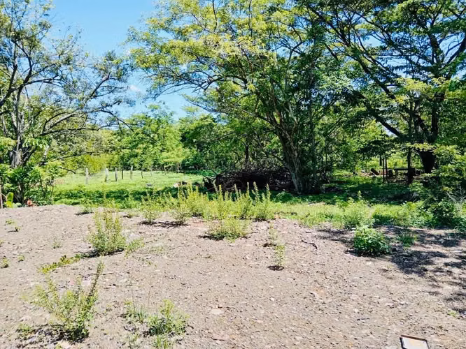 Lote Residencial Premium Cerca de Tamarindo – 2,376 m² Listo para Construir - Imagen 6