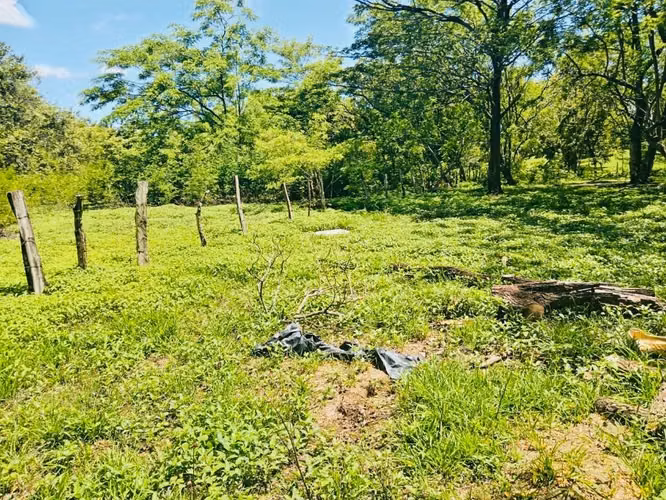 Lote Residencial Premium Cerca de Tamarindo – 2,376 m² Listo para Construir - Imagen 5