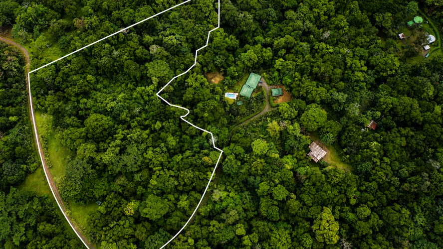 SELVA ENCANTADA | FINCA PRIVADA DE 4.34 HECTÁREAS EN EL CARIBE SUR DE COSTA RICA-1 - Imagen 2