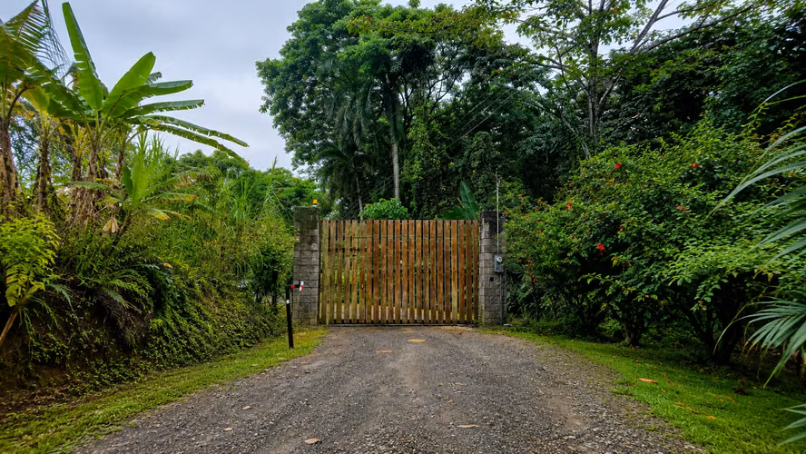 SELVA ENCANTADA | FINCA PRIVADA DE 4.34 HECTÁREAS EN EL CARIBE SUR DE COSTA RICA-1 - Imagen 4