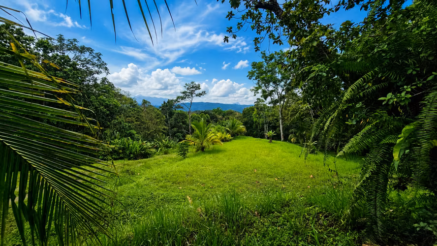 SELVA ENCANTADA | FINCA PRIVADA DE 4.34 HECTÁREAS EN EL CARIBE SUR DE COSTA RICA-1 - Imagen 3