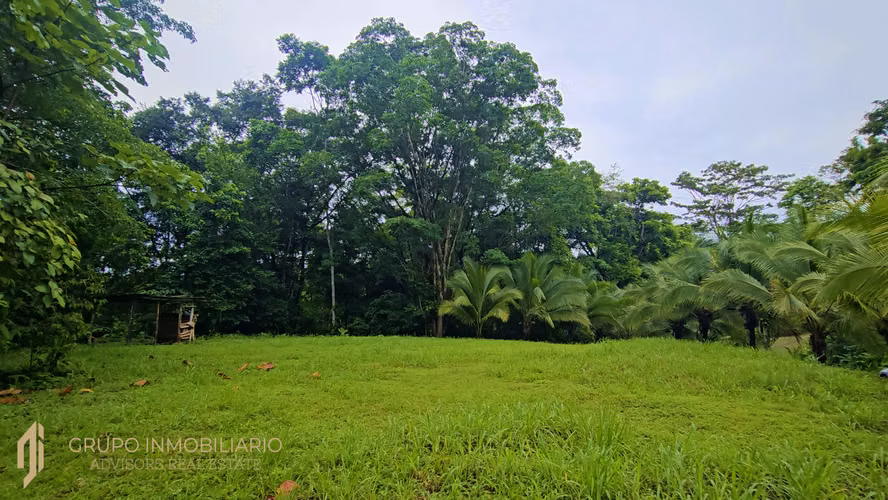 SELVA ENCANTADA | FINCA PRIVADA DE 4.34 HECTÁREAS EN EL CARIBE SUR DE COSTA RICA-1 - Imagen 12
