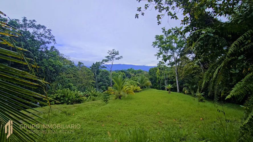 SELVA ENCANTADA | FINCA PRIVADA DE 4.34 HECTÁREAS EN EL CARIBE SUR DE COSTA RICA-1 - Imagen 11