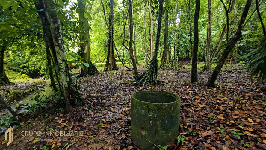 SELVA ENCANTADA | FINCA PRIVADA DE 4.34 HECTÁREAS EN EL CARIBE SUR DE COSTA RICA-1 - Imagen 15
