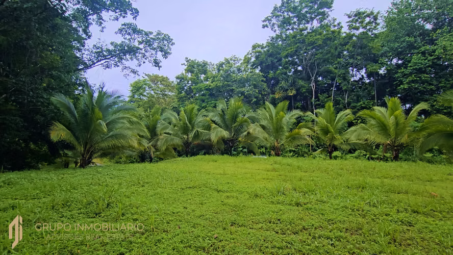 SELVA ENCANTADA | FINCA PRIVADA DE 4.34 HECTÁREAS EN EL CARIBE SUR DE COSTA RICA-1 - Imagen 18