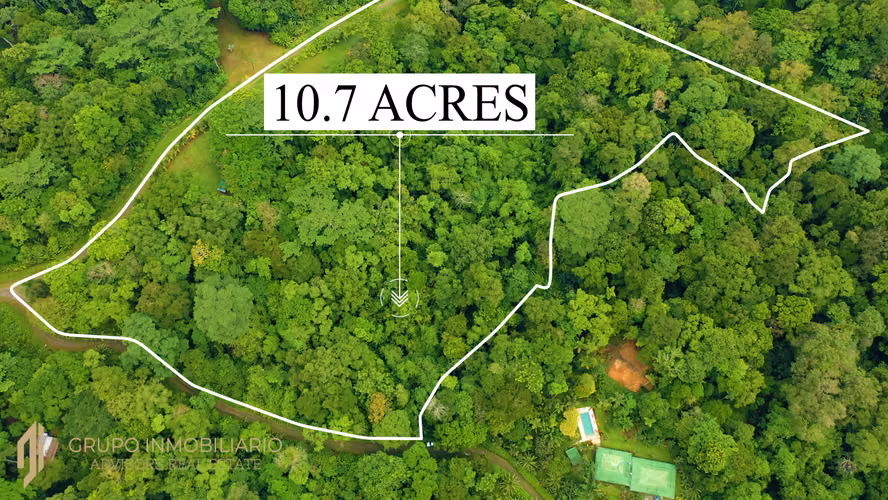 SELVA ENCANTADA | FINCA PRIVADA DE 4.34 HECTÁREAS EN EL CARIBE SUR DE COSTA RICA-1 - Imagen 13