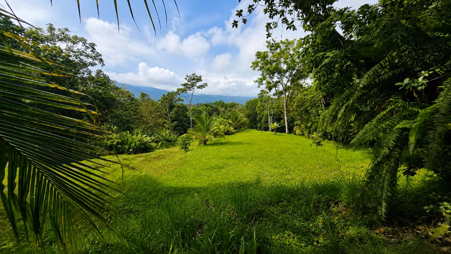 SELVA ENCANTADA | FINCA PRIVADA DE 4.34 HECTÁREAS EN EL CARIBE SUR DE COSTA RICA-1 - Imagen 7