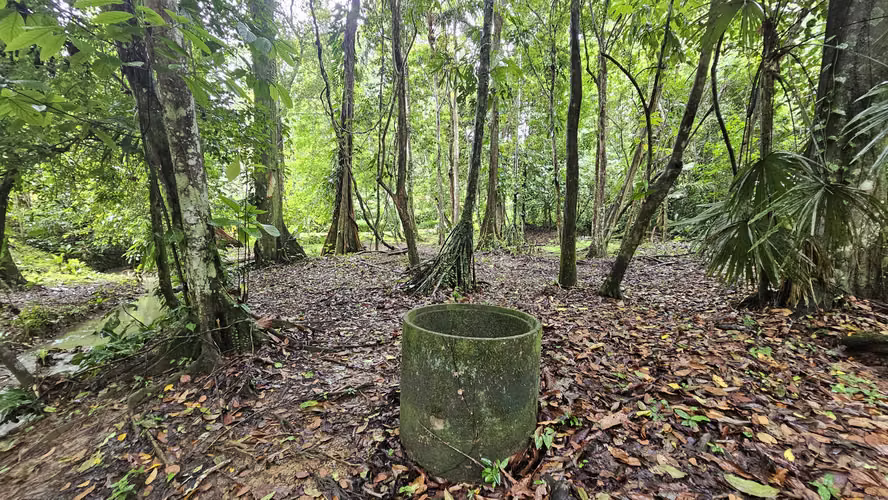 SELVA ENCANTADA | FINCA PRIVADA DE 4.34 HECTÁREAS EN EL CARIBE SUR DE COSTA RICA-1 - Imagen 5