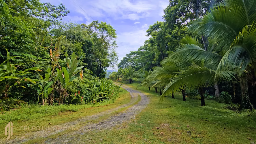 SELVA ENCANTADA | FINCA PRIVADA DE 4.34 HECTÁREAS EN EL CARIBE SUR DE COSTA RICA-1 - Imagen 10