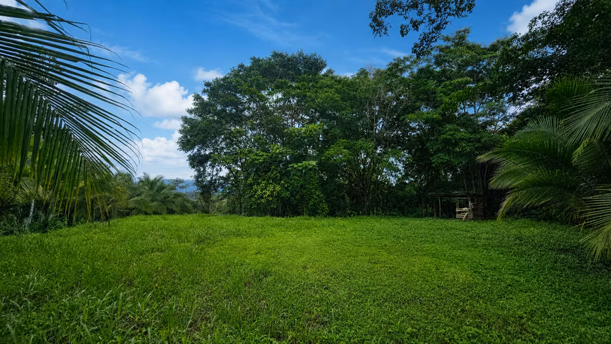 SELVA ENCANTADA | FINCA PRIVADA DE 4.34 HECTÁREAS EN EL CARIBE SUR DE COSTA RICA-1 - Imagen 8