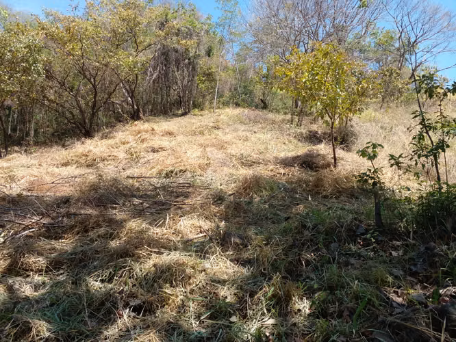 Venta Directa de Propietario: Finca de 7 Hectáreas en Curime de Nicoya – Cerca de Sámara