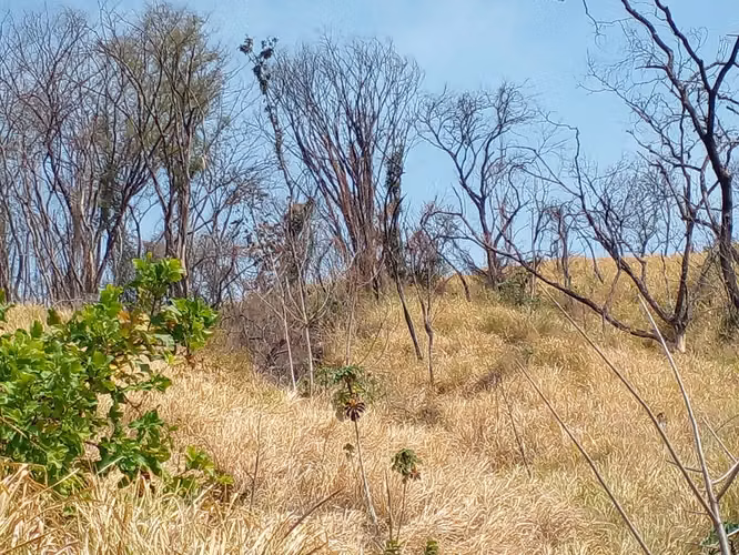 Venta Directa de Propietario: Finca de 7 Hectáreas en Curime de Nicoya – Cerca de Sámara