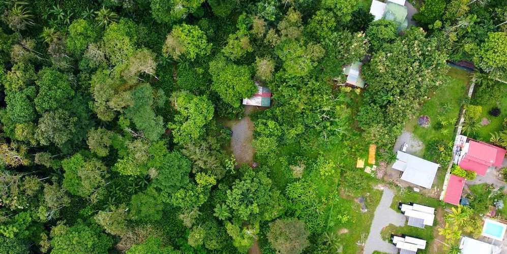 Lote 2 ha en Puerto Viejo Limón - terreno plano y accesible - - Imagen 3