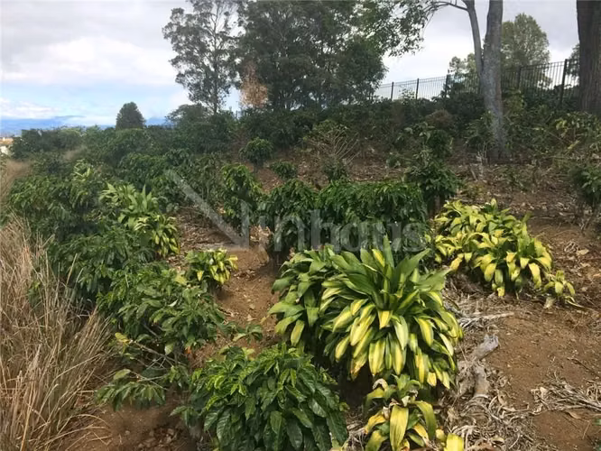 id # 41973 Venta de Lote en Condominio Colinas de Montealegre - Imagen 11