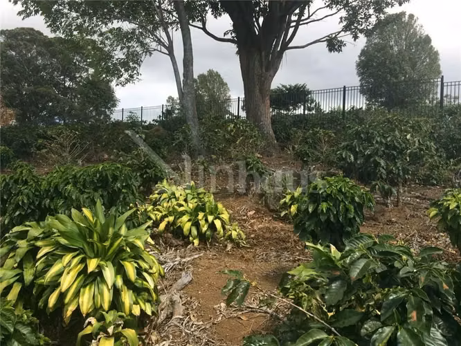 id # 41973 Venta de Lote en Condominio Colinas de Montealegre - Imagen 2
