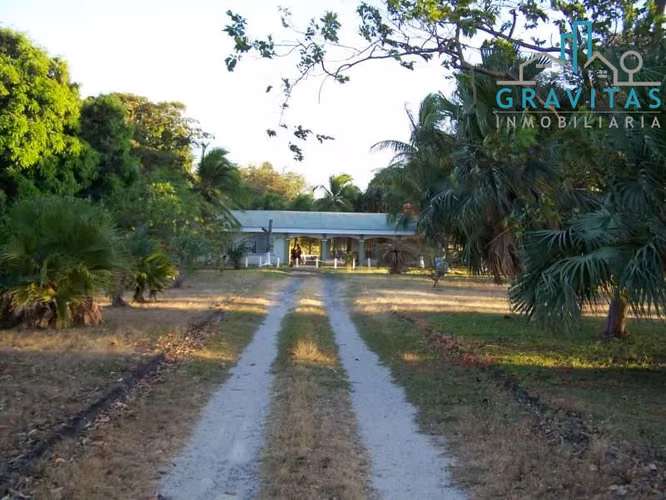 Terreno en venta en Liberia por el aeropuerto, ideal para desarrollo, 10 Hectáreas ID 1910 - Imagen 7