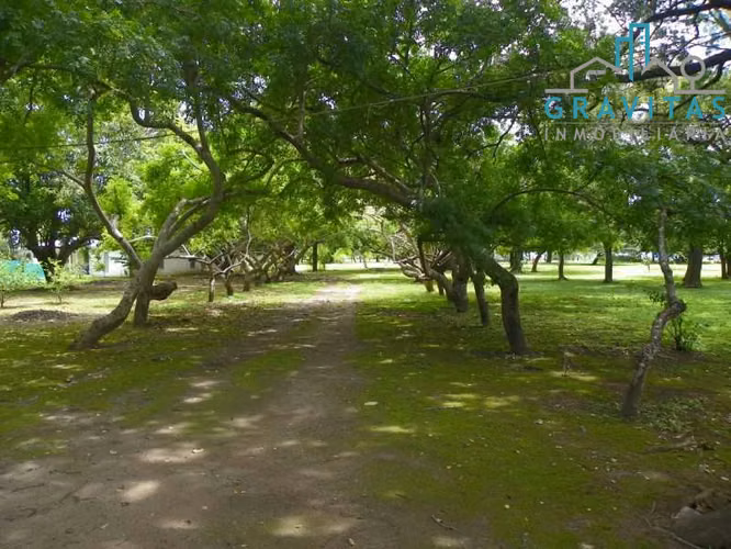 Terreno en venta en Liberia por el aeropuerto, ideal para desarrollo, 10 Hectáreas ID 1910 - Imagen 9