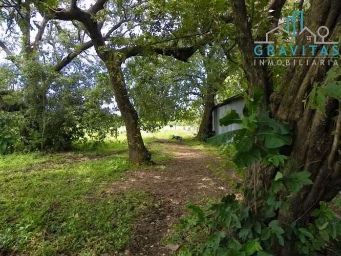 Terreno en venta en Liberia por el aeropuerto, ideal para desarrollo, 10 Hectáreas ID 1910 - Imagen 6