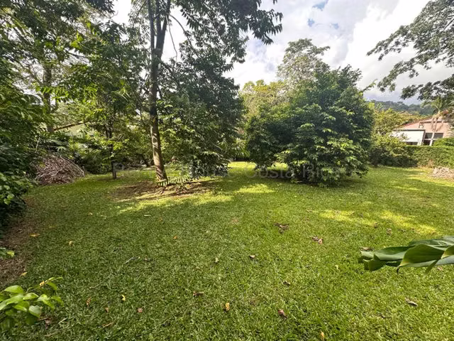 Lote en Venta-Ciudad Colon. 26-2249 - Imagen 4